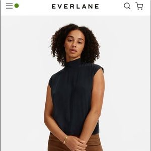 Everlane, The Clean Silk Tie Neck Blouse
